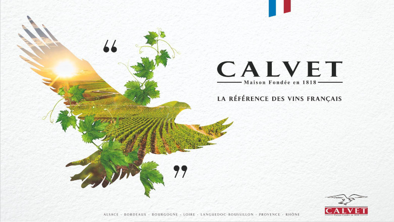 Calvet, the reference in french wine, in the heart of the regions
